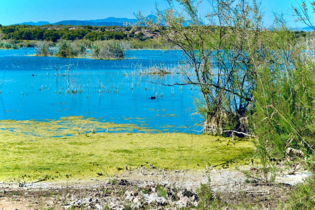 Refugio De Tranquilidad En Gran Alacant Exteriör bild